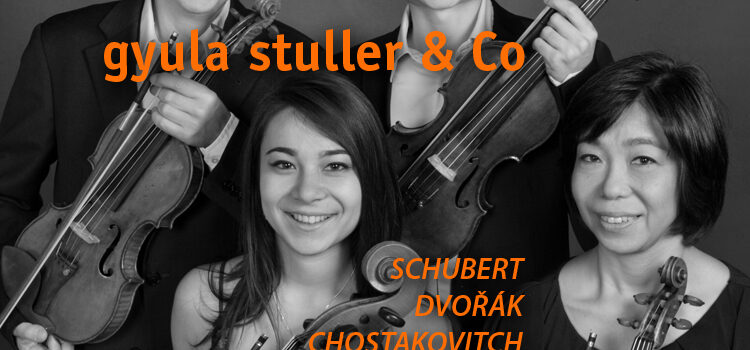 Gyula Stuller & Co