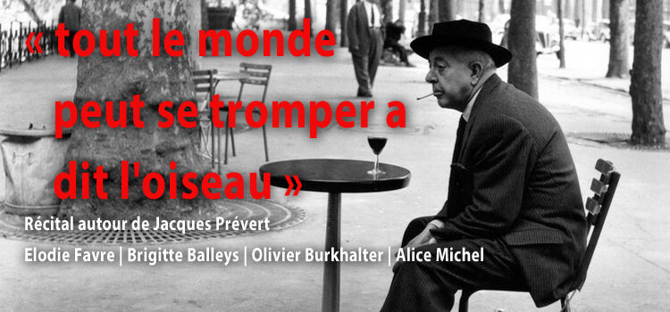 “Tout le monde peut se trompter a dit l’oiseau”